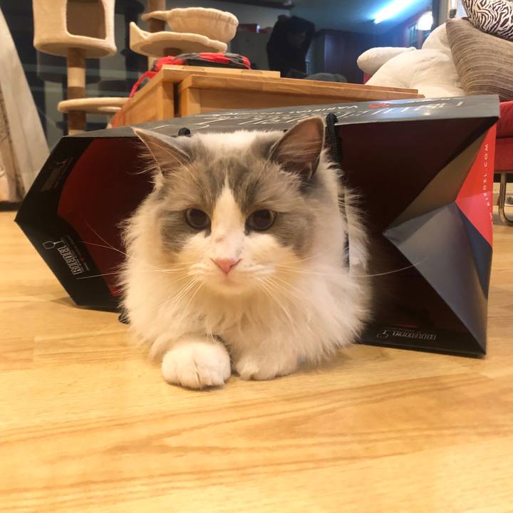 Bf7fbbd1 993a 47fa 8a1b 6b5e8adbbf70 1581250989594