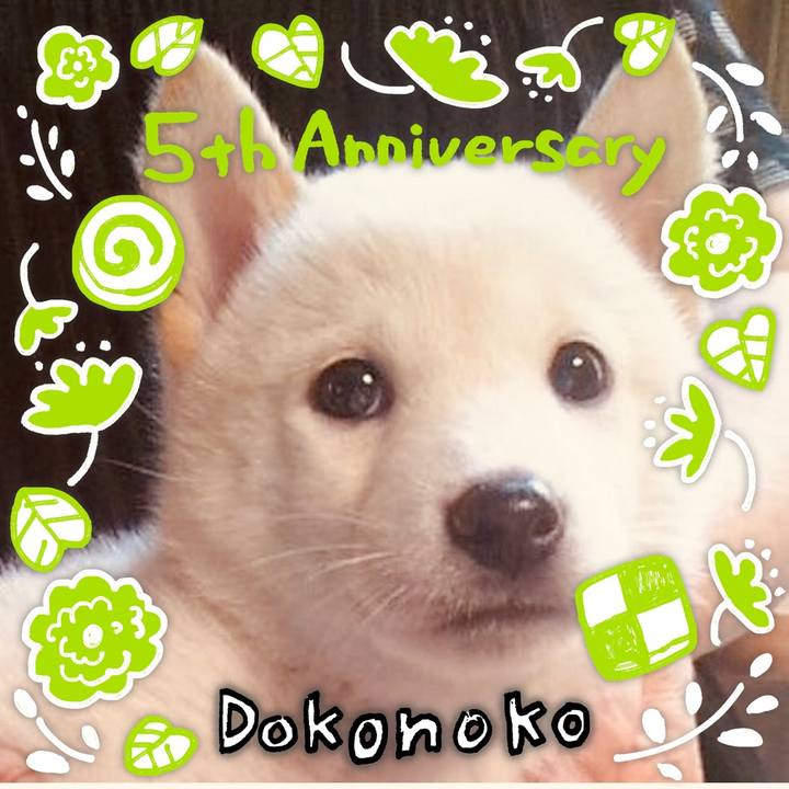 Bf7fe225 705d 4731 911c d5e1032bd6b1 1623092977664