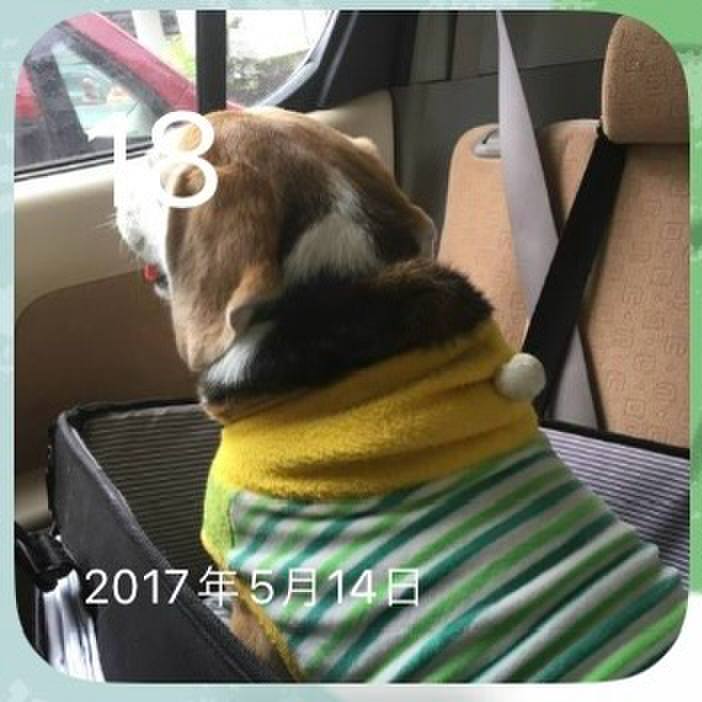 Bf7ffdc3 8600 439b ab3a d9306b0cfd48 1715990013043