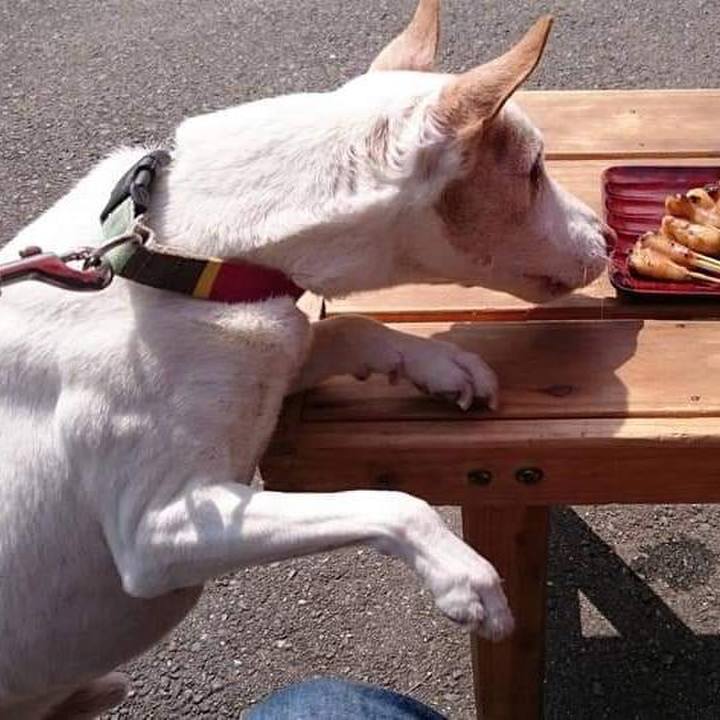 Bf802604 ffb6 4f37 90d1 03dfd7ded7db 1722517481030