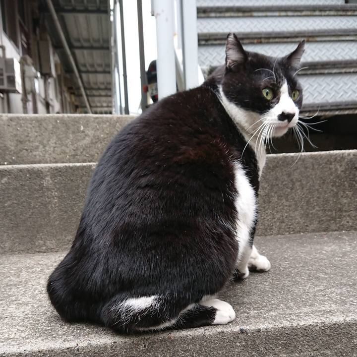 Bf802b99 0101 452a 87f8 72cb4855fee3 1548480287764