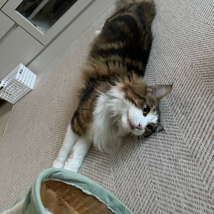 Bf802fa9 22a4 48e5 a142 b614f2461e17 1653257425952