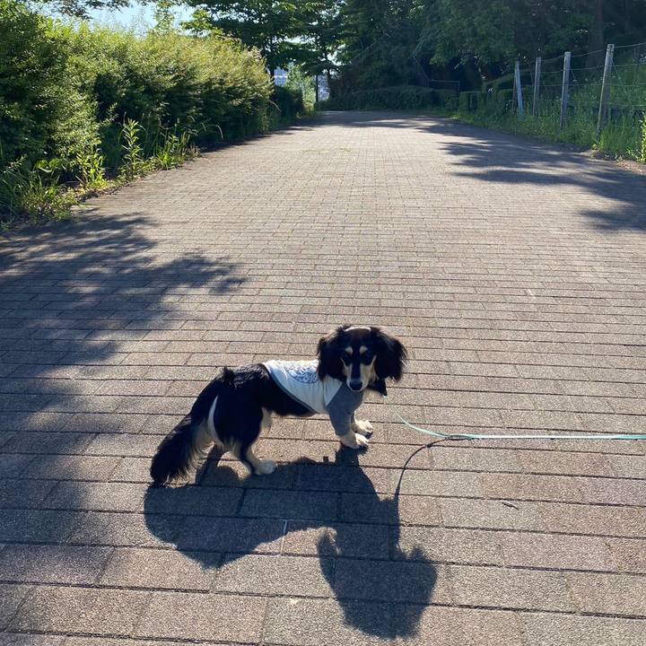 Bf805501 4663 4e96 a3b9 3f59bec01b58 1683677240508