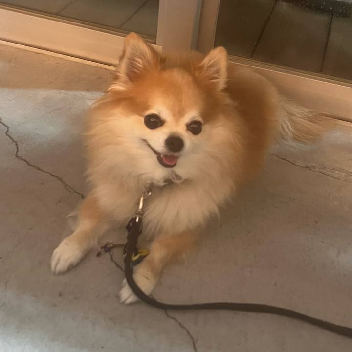 Bf8080e7 638f 494f b2b2 b71d3e606230 1759323403880