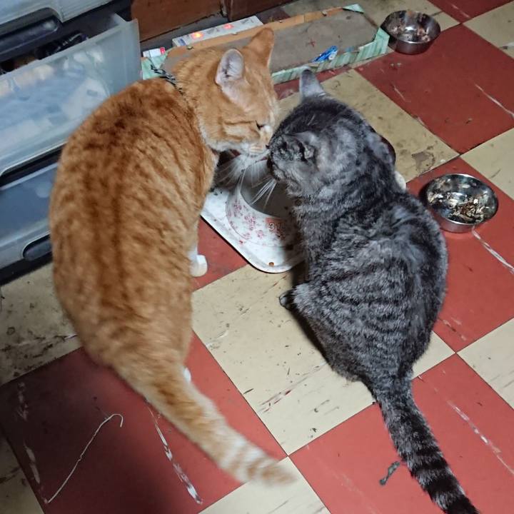 Bf80977a 32da 43a8 b4f8 1f0fec26030c 1571689584149