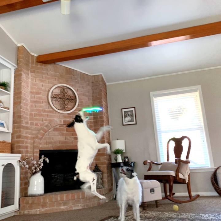 Bf80abfe dc93 4824 b94e 55ff8556cc18 1624140780935