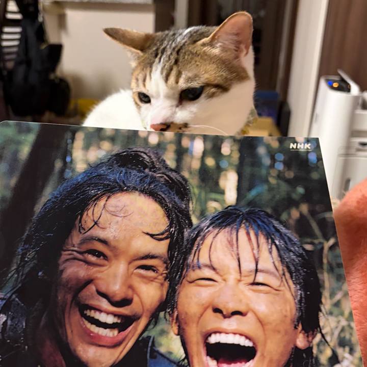 Bf80b40e 9140 49b3 8069 609a7da47fc6 1774002878218