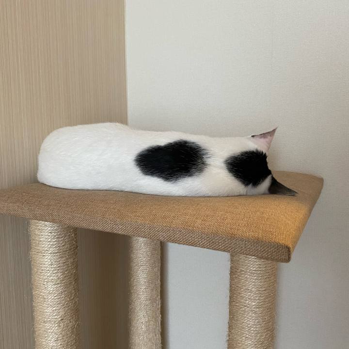 Bf80d727 dd08 4786 bbc1 6d87dec5d0e4 1678932731432