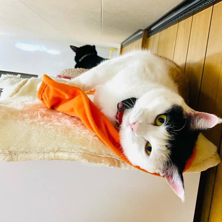 Bf80e9be dc5d 4389 ae19 7bc90d48516c 1701210089656