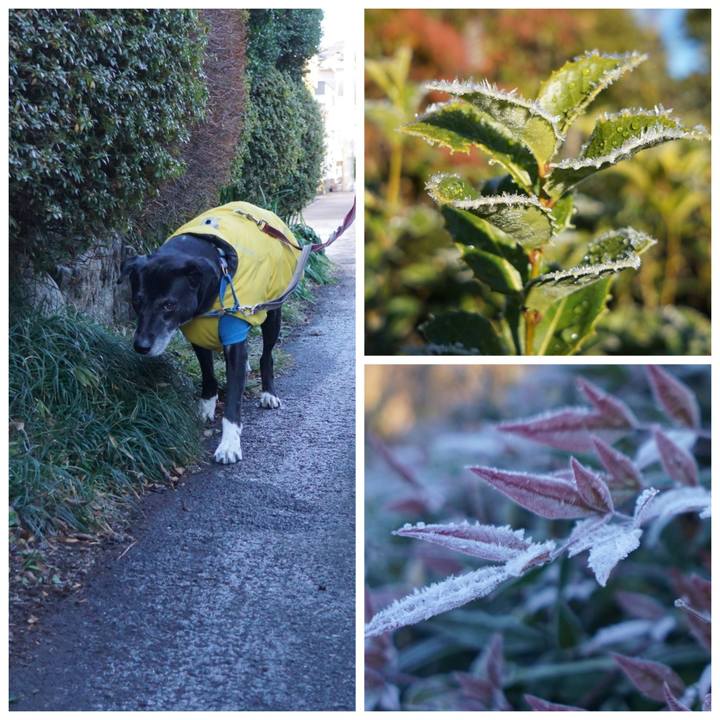 Bf81180f b5ba 45bb 879b 594aada9e6c0 1767401279610