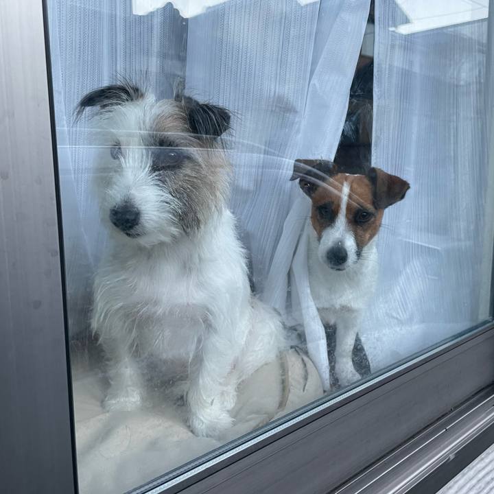 Bf81517b 3359 4a21 991e ef2604a2381c 1636236847227