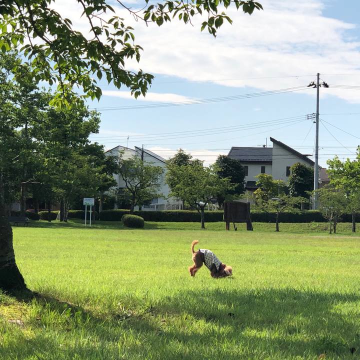 Bf81756d b538 4db1 b571 a790f5752192 1568110017438