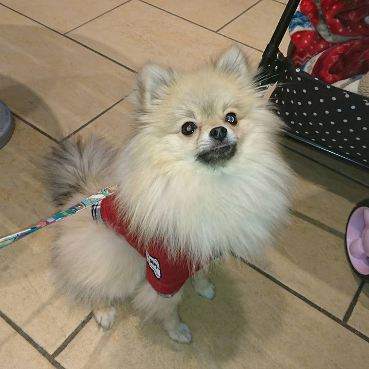 Bf81b9de ab7c 41b0 8bf3 30cb4714b352 1517669074156