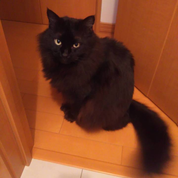 Bf81f033 a214 49ee 98db ac3f93ed83d7 1551699463055