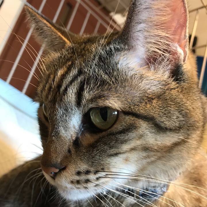 Bf81fc7b 51b0 42fe b33f 156d0ae6b090 1516513290542