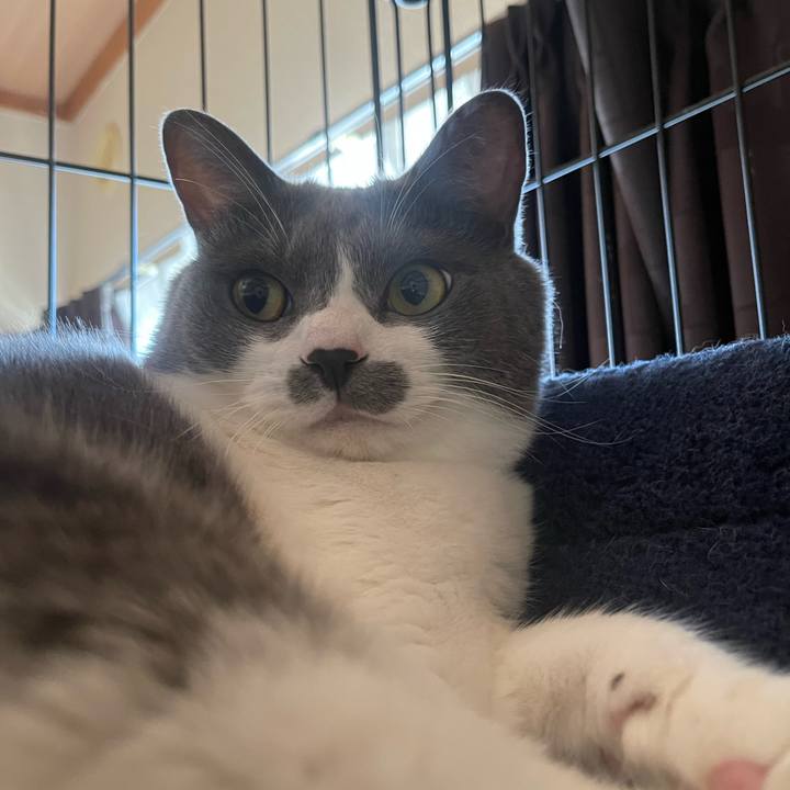 Bf8241c9 5e5e 4968 9359 9b804356da96 1694214183587