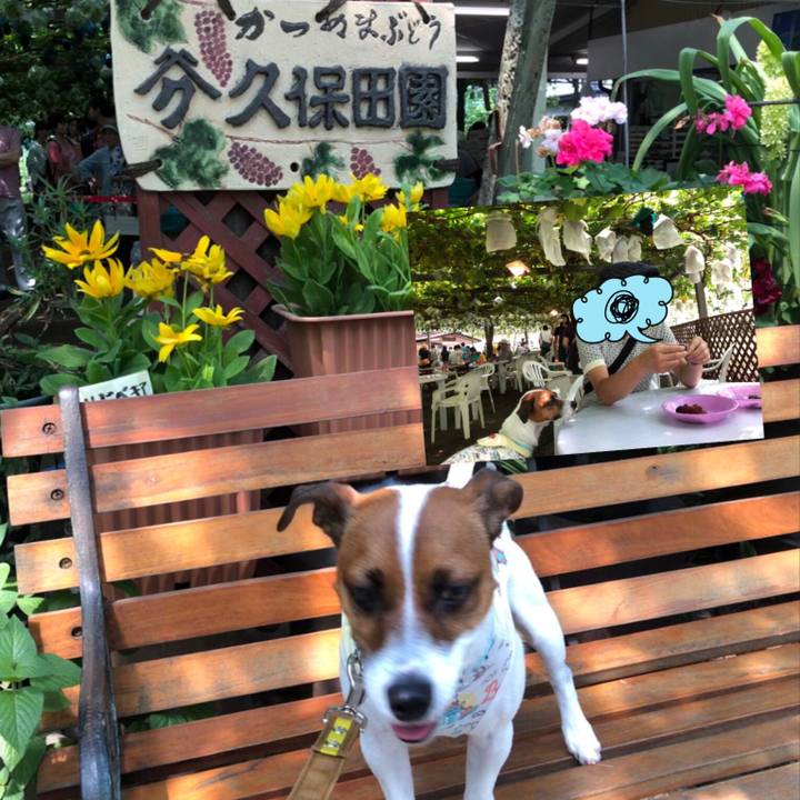 Bf825e1f 620e 4981 9edd 8bef5f0d2b15 1566828708375