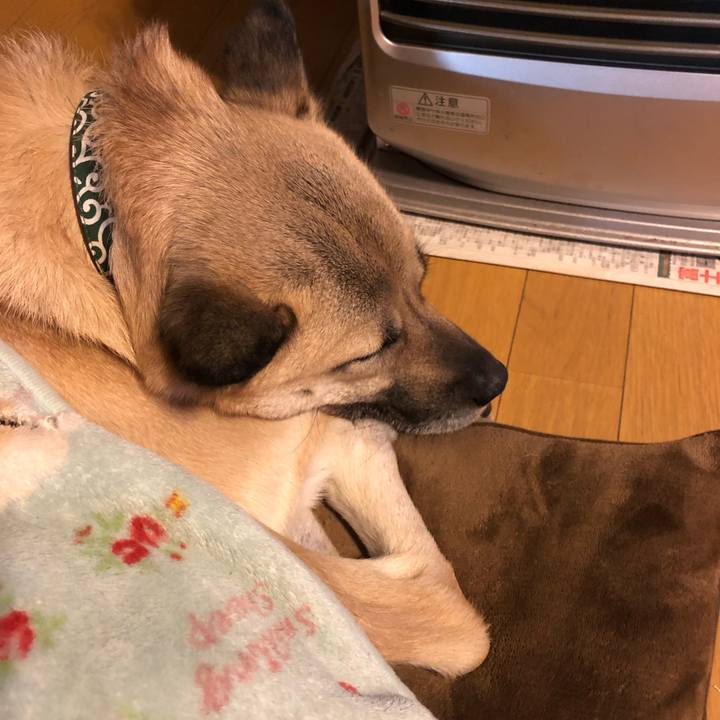 Bf826760 156e 437d 95db 8d6bc3f081d6 1548680263242