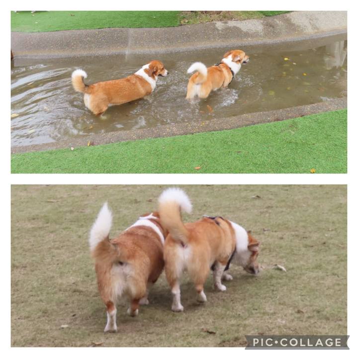 Bf82a7f6 1b97 4a41 a296 2db6099bb34c 1636427226232