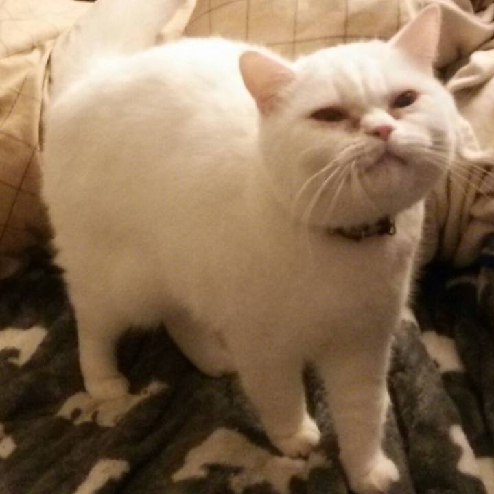 Bf82c60c 8f06 4f47 b9ea 93cfdf09976a 1518994166199