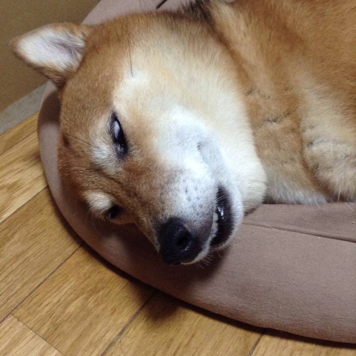 Bf82de8c 3ceb 439d bc32 60d987b501a3 1534028946576