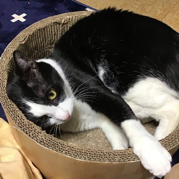 Bf82f9a6 c2a2 4cc4 9d6e 80ce39ac6614 1736865180608