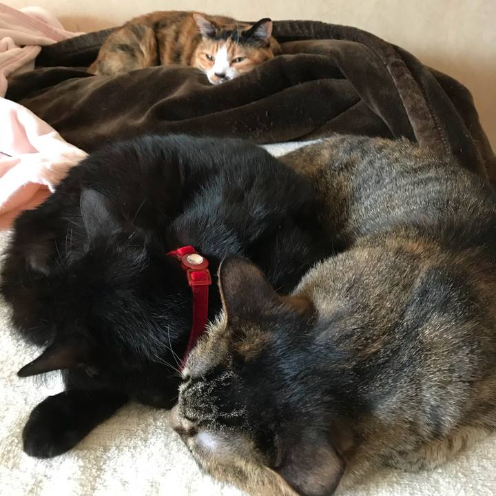 Bf830f45 caef 4153 ad84 ba15e3a5f0e5 1528204247975