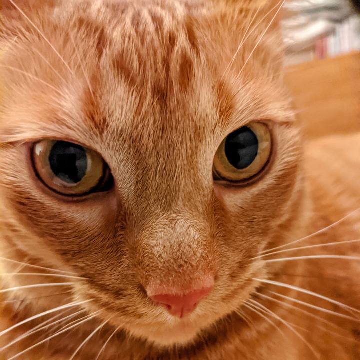 Bf831333 766b 47f1 b9c6 0e0c9e4ba984 1617877529278