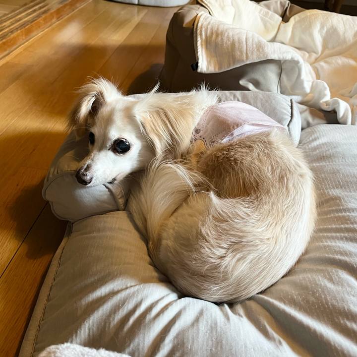 Bf8313c8 28fa 4008 9cb9 1d43f2c713ac 1723186459596