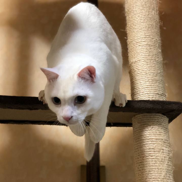 Bf83246a ad02 4345 8611 f72c1811009a 1554821559333