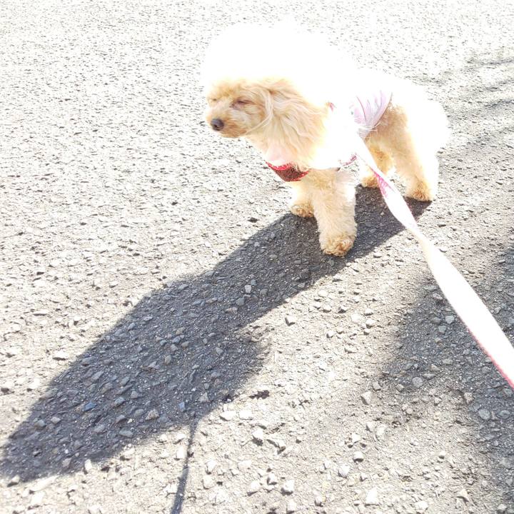 Bf83286b 883c 48b2 9d37 3a020901aeac 1573039838489