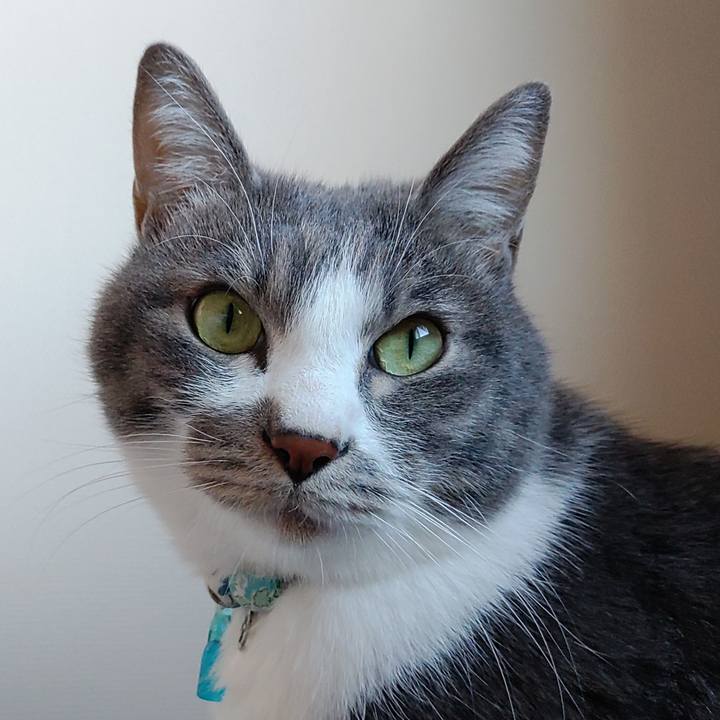 Bf832cec 5e90 4eb1 ba16 3df40361c659 1670648129499