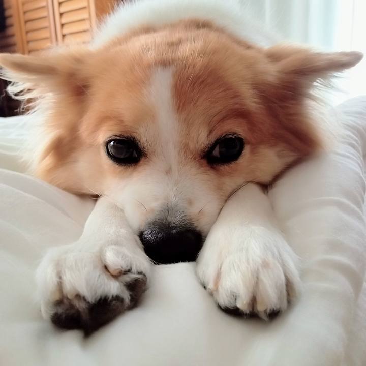 Bf835c9e 236d 4afa 9ccf a2b97f3b7605 1636543628768