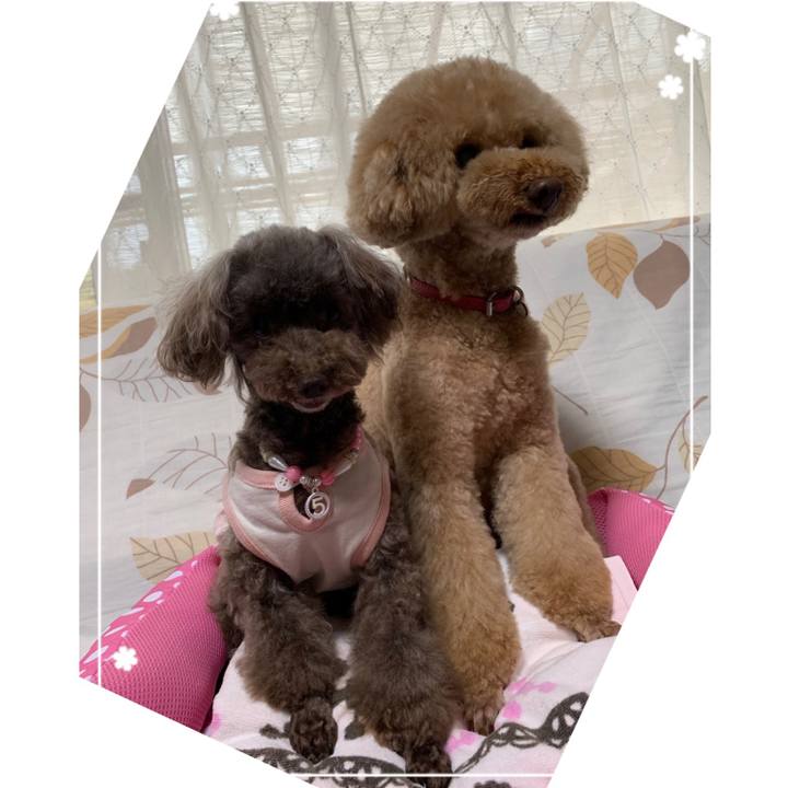 Bf8397ba 4726 4225 bf03 736713730976 1561619472737