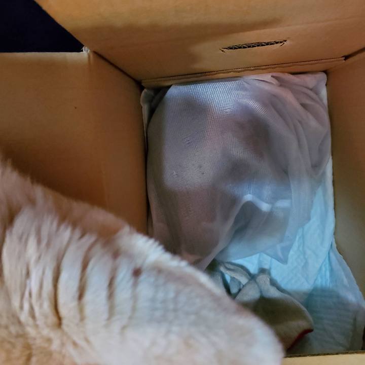 Bf83ab7c eaa0 45ba 8d8f a3b847d38f73 1674057178749