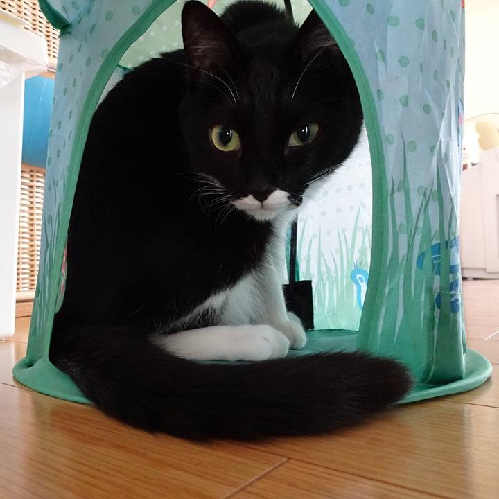 Bf840e6a 1336 4964 88ac e43ec02a30fd 1524418432463