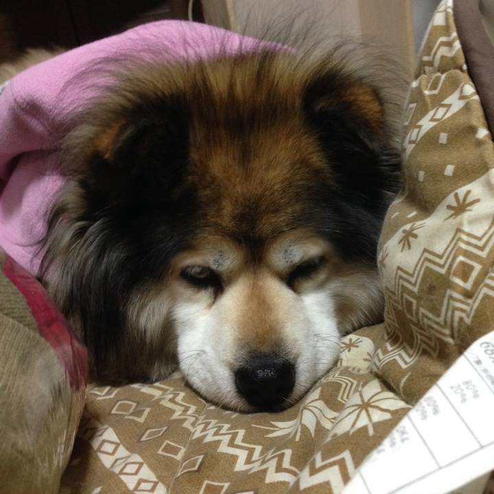 Bf8447dd 2858 46e5 993b 68016abd5f4c 1572083827813