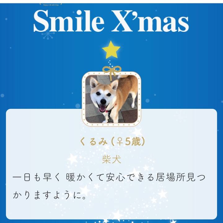 Bf8458c7 cab2 48be b8a2 7d30bd55a48d 1544868207815