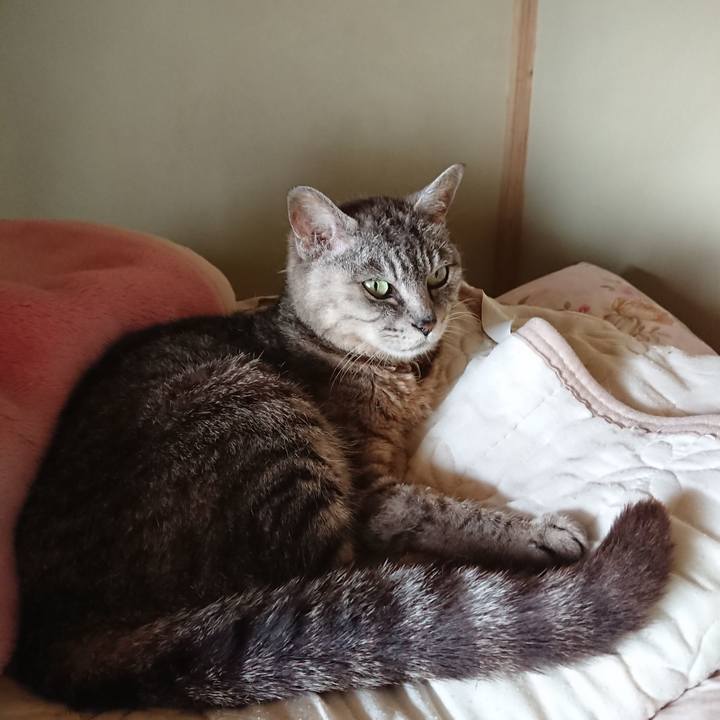 Bf845948 dabd 421e ae4b 1b7c8d1a43db 1565477920345