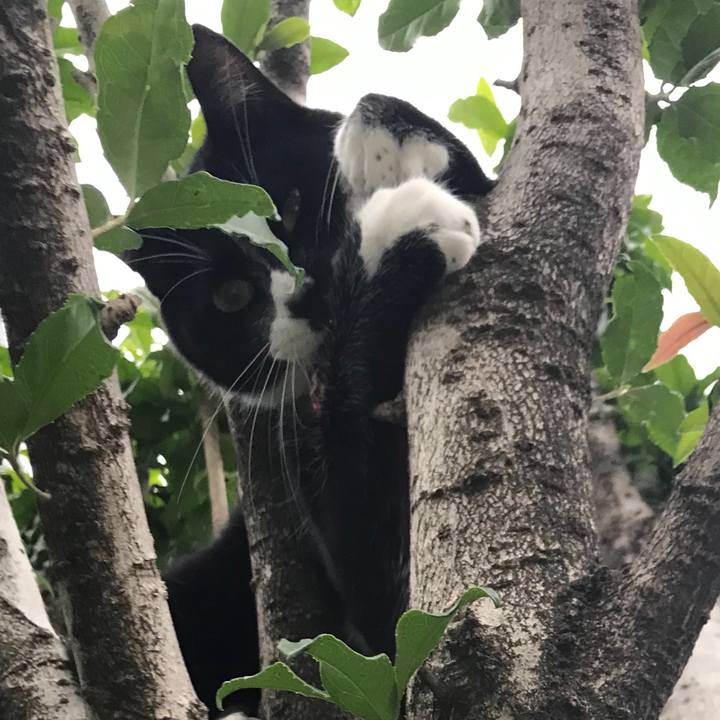 Bf845b69 5bb3 473c 8964 ec824235883a 1571978220958