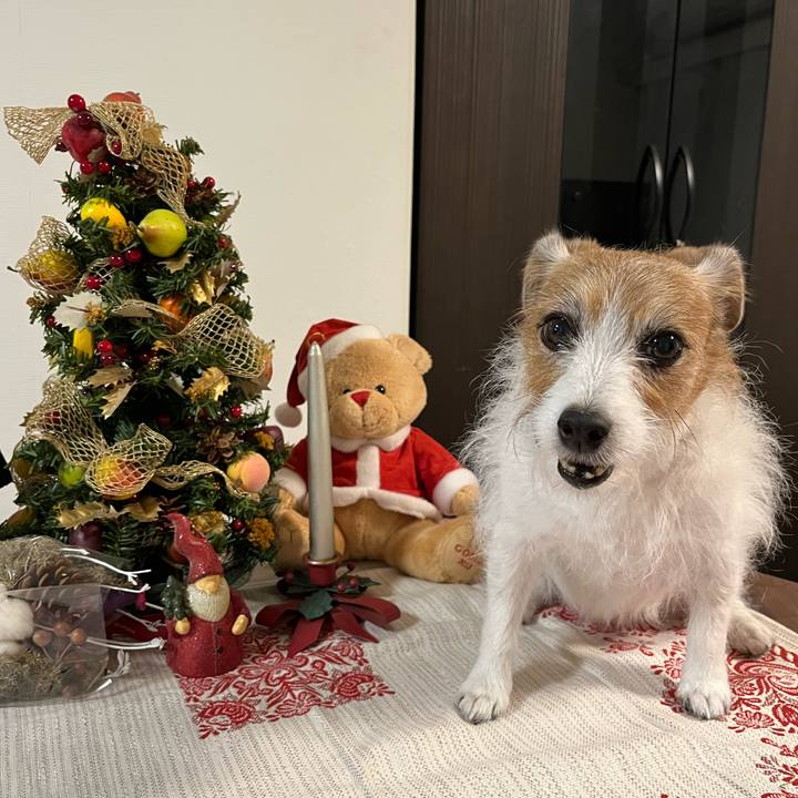 Bf850bf6 21e4 4ebd bc82 73bb6d45fd76 1699177577095