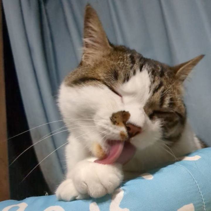 Bf854ce1 3a2d 4f02 83f8 4c3fe7c92462 1715338719820