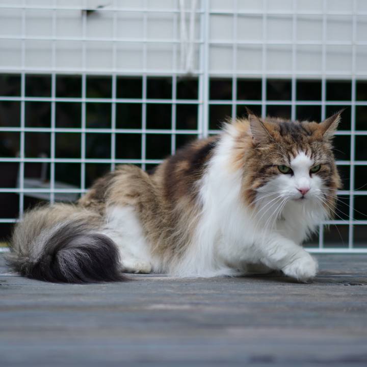 Bf85583f 77c1 4ef1 9ee6 78f33dfb7dea 1692495725735