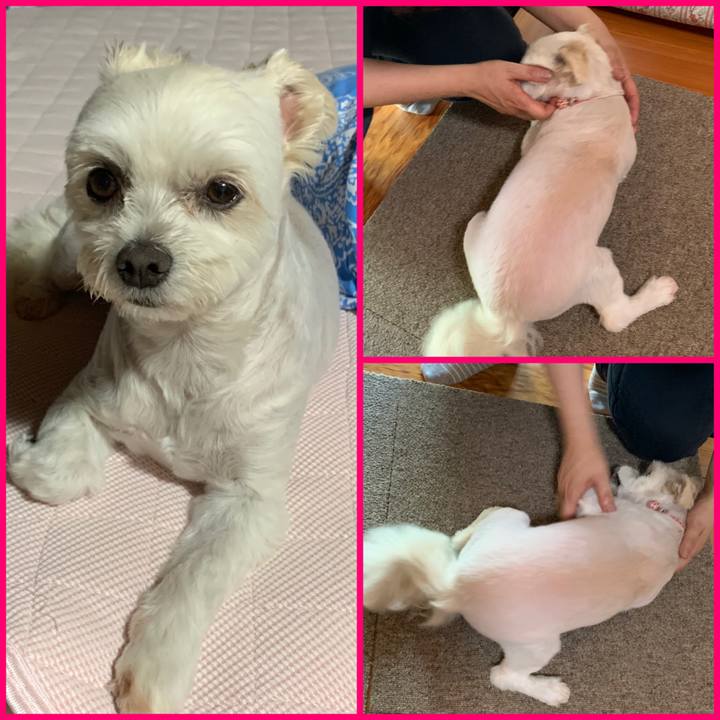 Bf85c551 920a 46b7 a202 e7936777bfd6 1624965417156