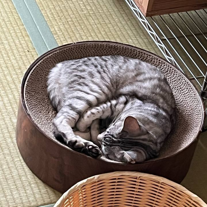 Bf85f5b0 4647 42a4 be9a 19c0fbf7eee9 1717911557720