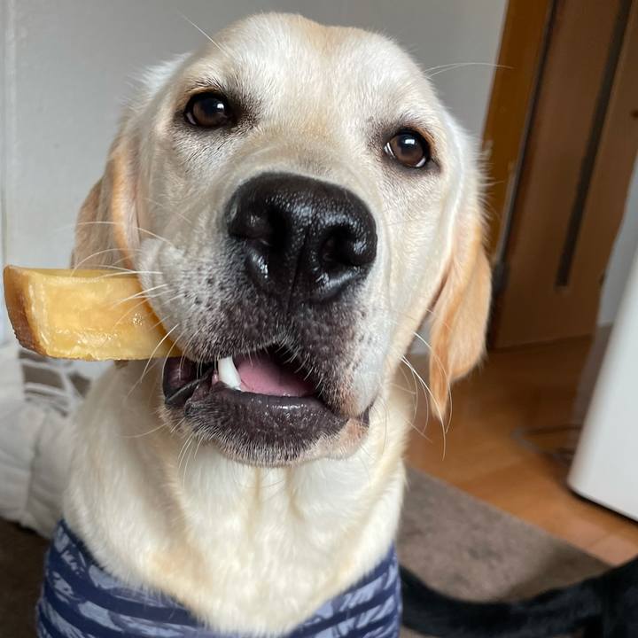 Bf86627d 2570 49a9 ab05 a7c55ce12acb 1625469350300