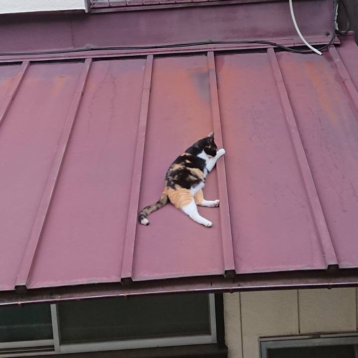 Bf867354 bf6e 42b0 9d11 b11c610cd132 1630014286255