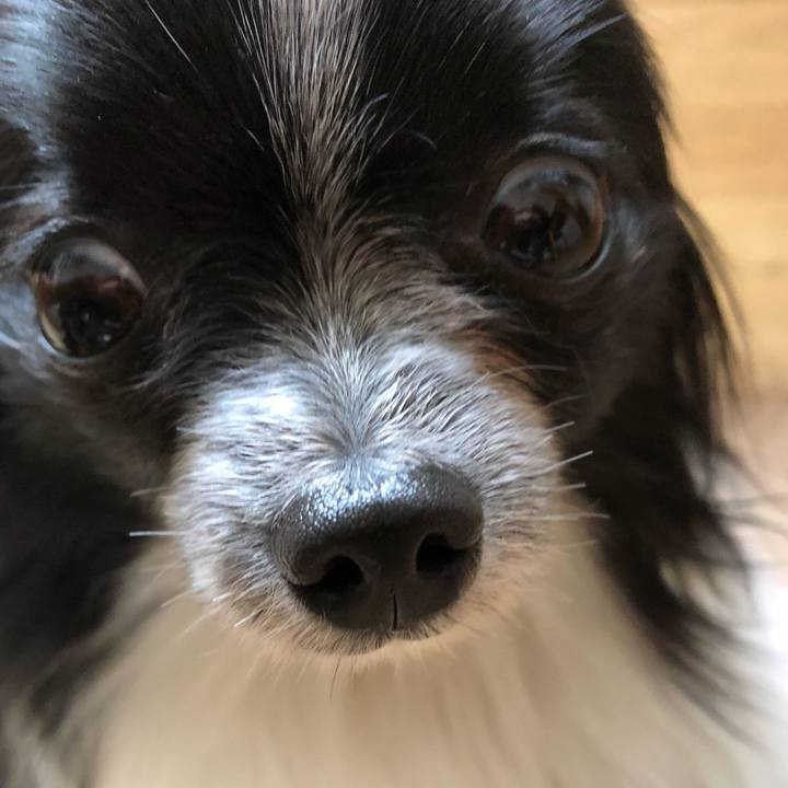 Bf86a5f8 906a 490b b0b6 3c73896f1d6e 1523427832310