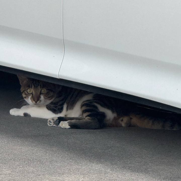 Bf86a748 73af 4655 9806 16f242a355d1 1755812934676