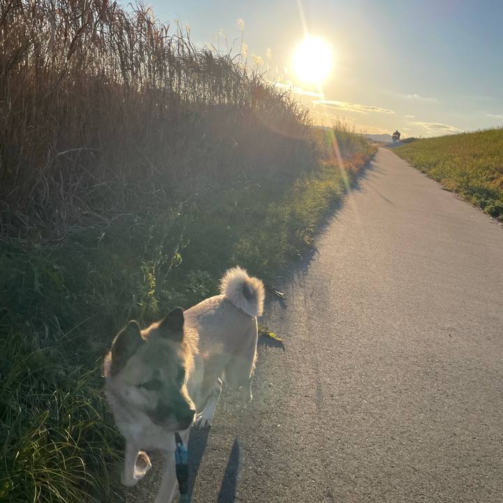 Bf86b361 6cb3 44bc 97eb 6c965601cadb 1701512620205